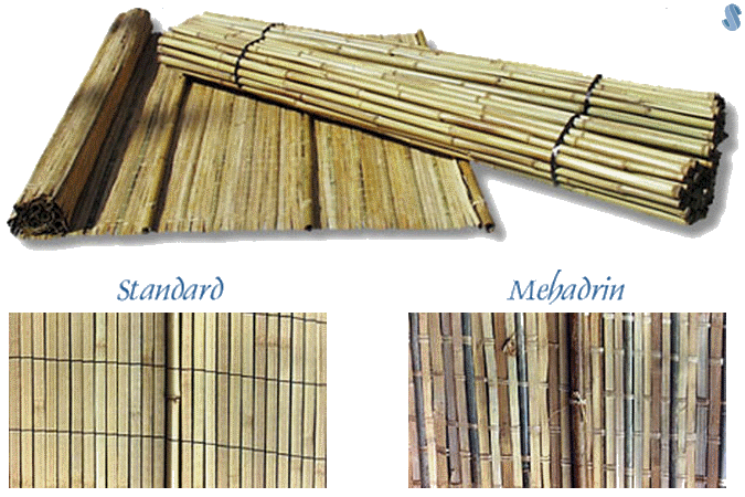 Sukkah Sechach