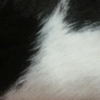 Fur Products
