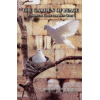Garden Of Peace - A Marital Guide For Men By Rabbi Shalom Arush