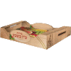 Tu B'Shvat Fruit Box - 614