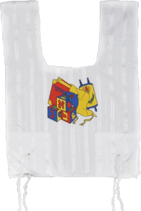 Kids' Poly-Cotton Arba Kanfot, Screen-Printed Aleph Beit Blocks and Siddur
