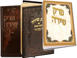 Perek Shira Booklet by Yoel Vaxberg (v137)