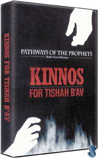 Kinnos for Tishah B`Av by Rabbi Yisroel Reisman