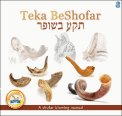 Teka BeShofar: A Shofar Blowing Manual by Avrohom Reit