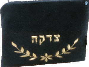 Velvet Tzedakah Bag - Gelt Bag