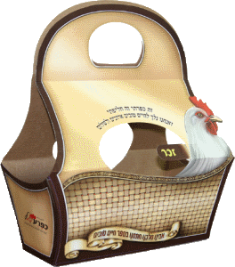 Judaica Savings - The Latest Products